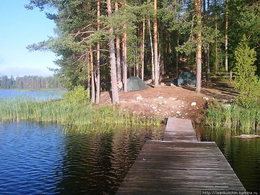 Утро в лагере Реповеси Национальный Парк, Финляндия