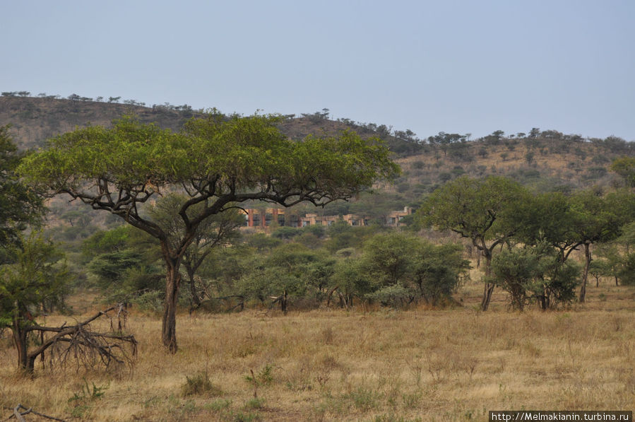 Вид отеля из парка Серенгети Национальный Парк, Танзания