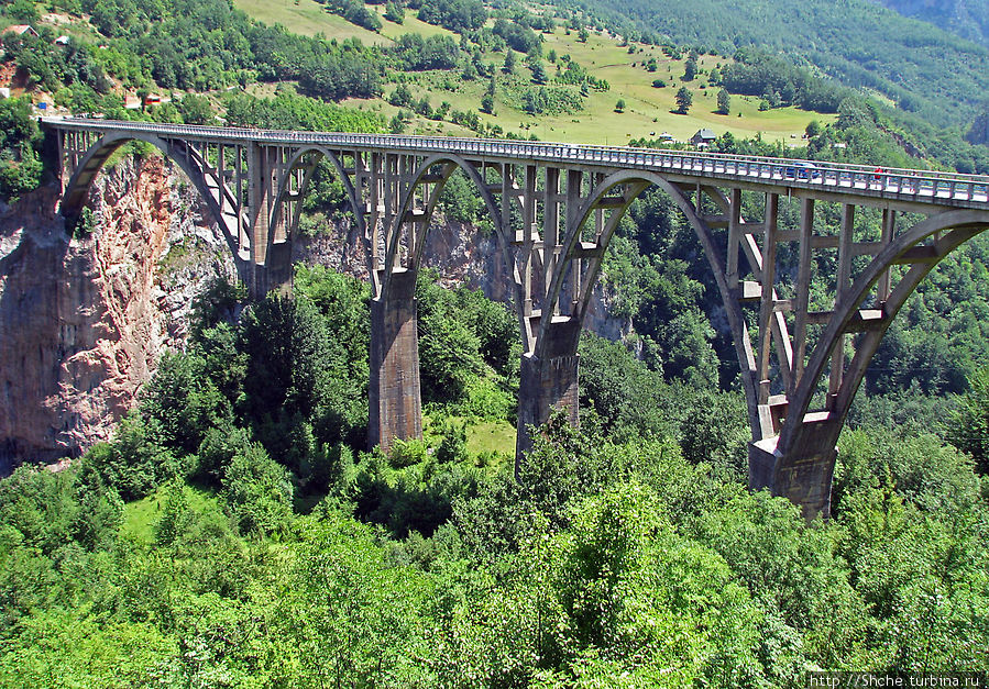 Мост Джурджевича через р. Тара / Đurđevića Tara Bridge