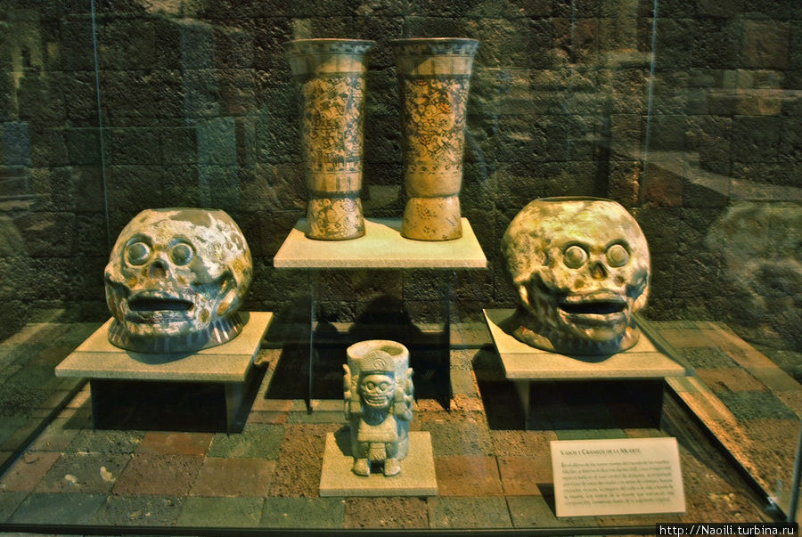 Сосуды в виде черепов Мехико, Мексика