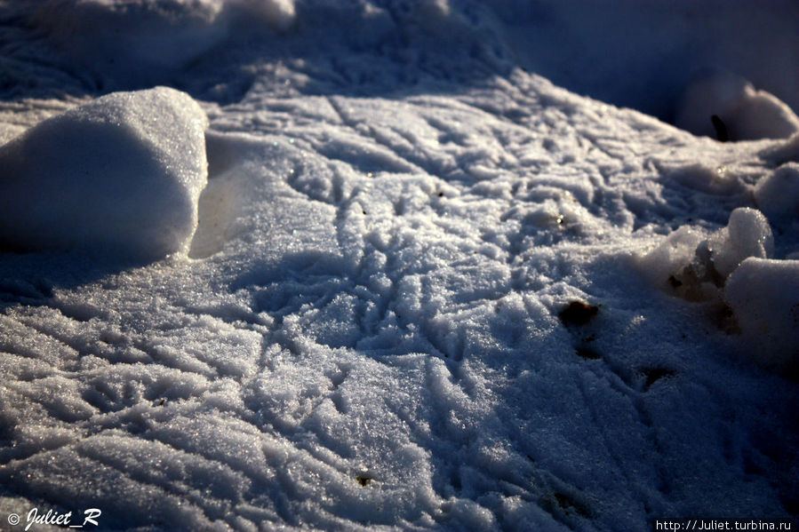 Русский Иерусалим,покрытый снегом: субъективный фоторепортаж Новый Иерусалим (Истра), Россия