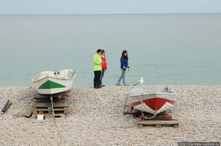 Репортаж о беспокойной жизни маленького пляжа Этрета, Франция