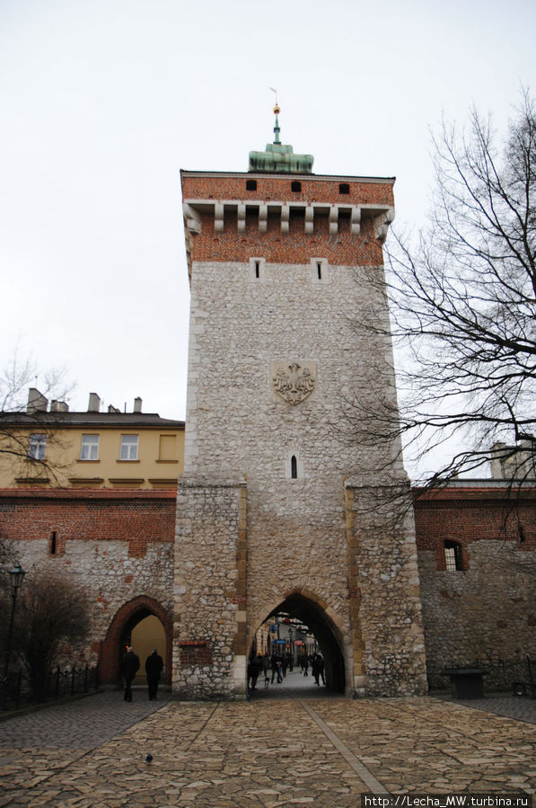 Орел Матейко на внешней стороне ворот Краков, Польша
