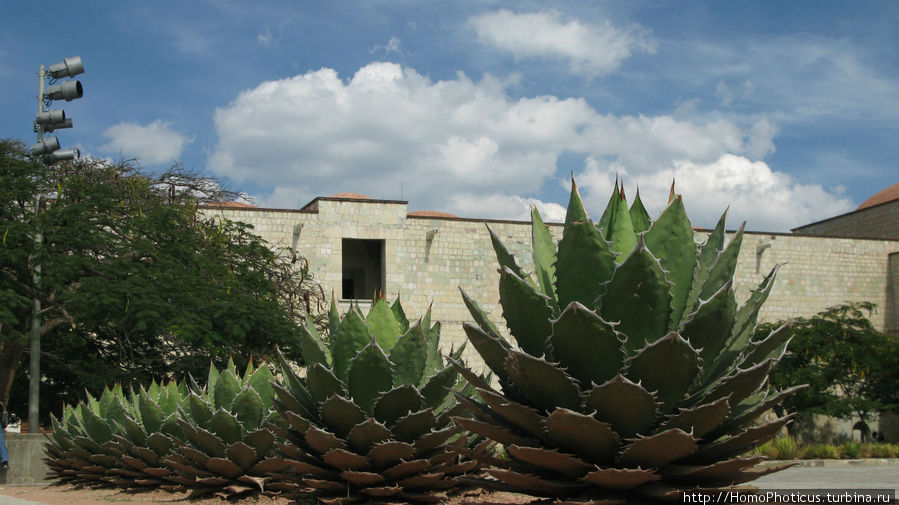 Оахака Оахака