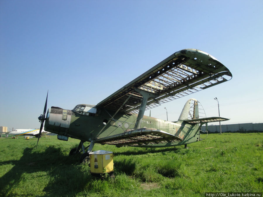 Под крылом самолета....Музей авиации в Киеве, май 2012 Киев, Украина