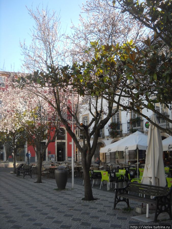 В уголку В уголку