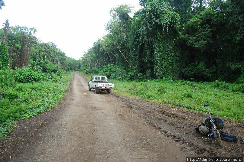 Подвезли 10 километров от лесорубного лагеря в сторону деревни Бам Папуа-Новая Гвинея