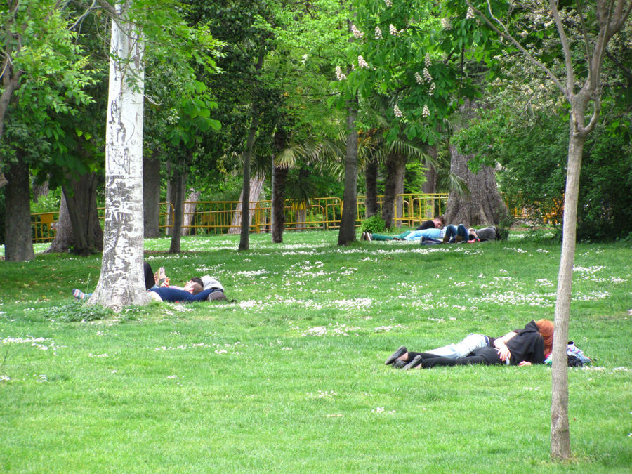 поваляться на траве Мадрид, Испания