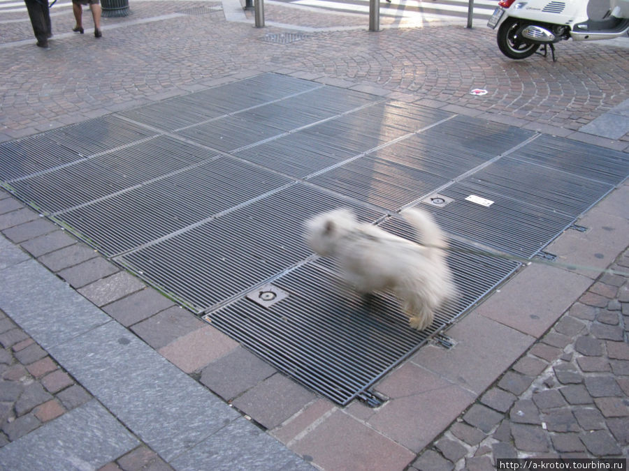 это вентиляция метро (собачка и ноги — для масштаба) Милан, Италия