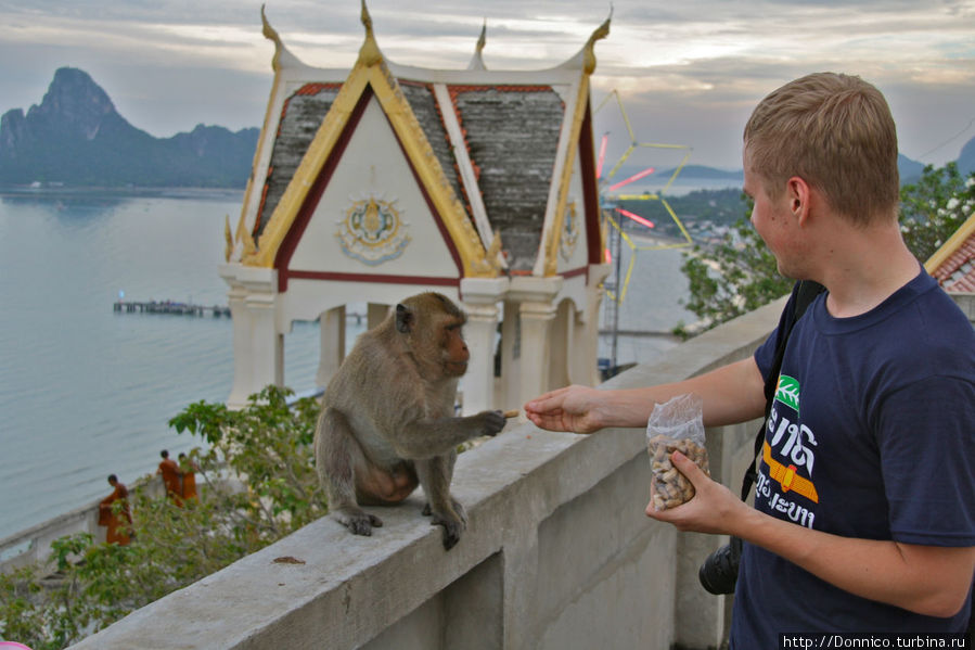 Осторожно обезьянки! Успешный бизнес с видом на море Прачуап-Кхири-Кхан, Таиланд