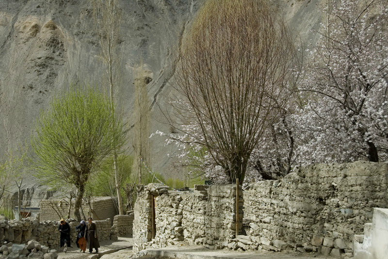 В начале мая довольно сложно встретить хоть кого-нибудь на улицах деревень Маленького Тибета.
У взрослых горячая пора — сажают картошку.
У детей ещё не наступили каникулы. Штат Джамму-и-Кашмир, Индия