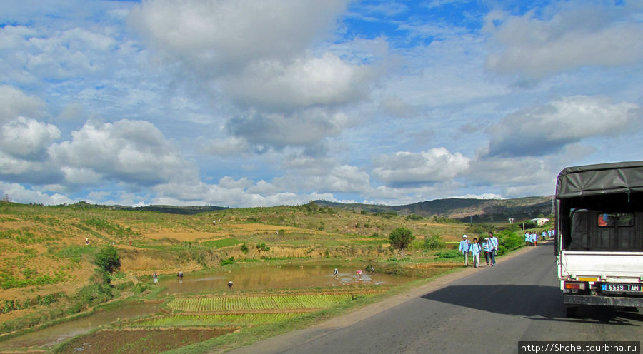 Родители еще в поле, а школьники возвращаются домой Провинция Антананариву, Мадагаскар