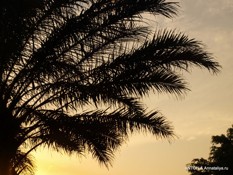 На закате. На закате.