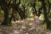 Одна из клиенток выступает моделью в частном лесу одной из флорентийских вилл. Сан Донато ин Поджио.