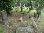 Старое еврейское кладбище. Впечатляет.
