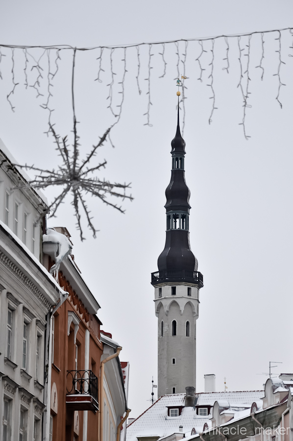 Из-за крыш показался шпиль Таллинской ратуши. Таллин, Эстония