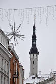 Из-за крыш показался шпиль Таллинской ратуши.