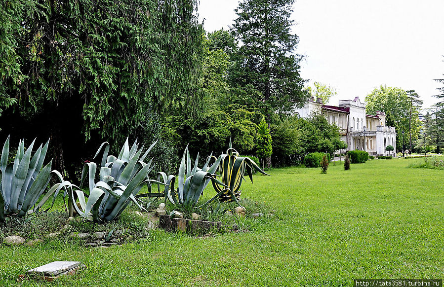 Дворцовый сад Зугдиди, Грузия