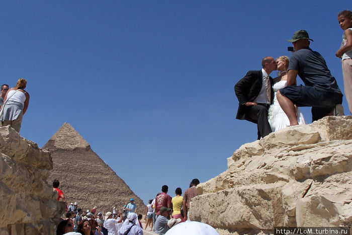 свадьба у пирамид