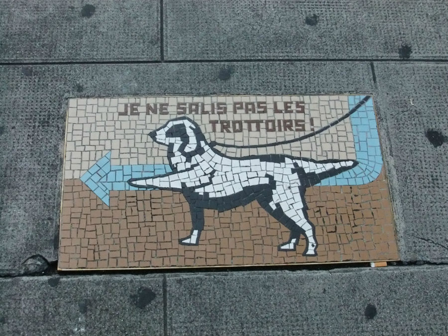 На мостовой мозаика. Выгул собак — туда. Занятно. Женева, Швейцария