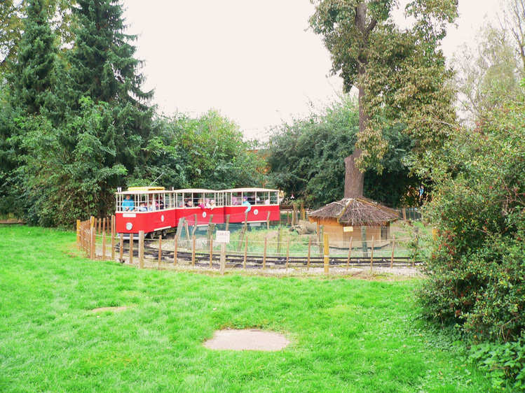 Детский поезд в зоопарке
