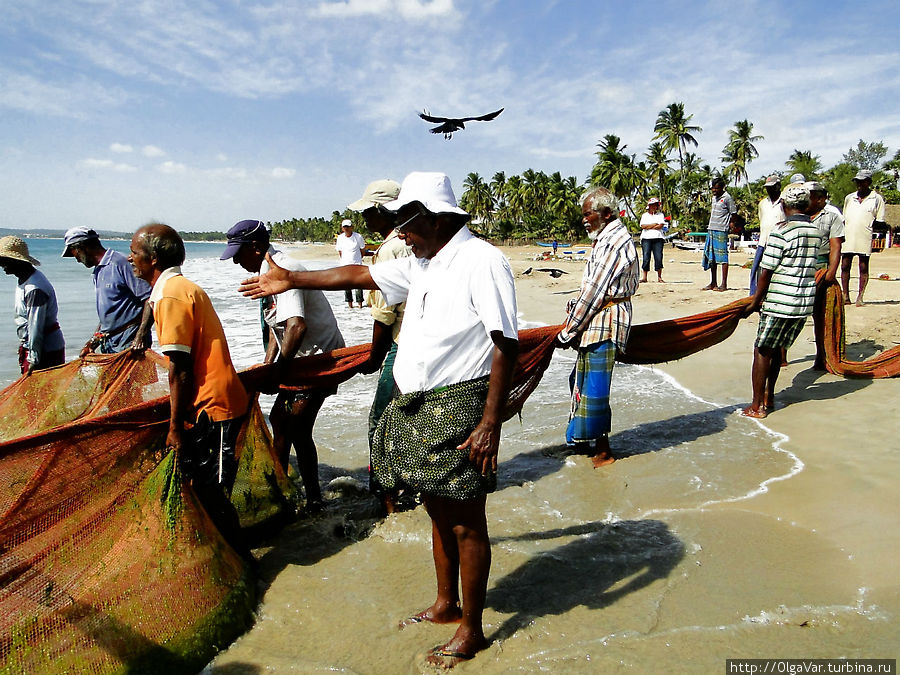 Руководящая и направляющия сила — рыбацкий босс. Ну как же без руководства и дельных советов Тринкомали, Шри-Ланка