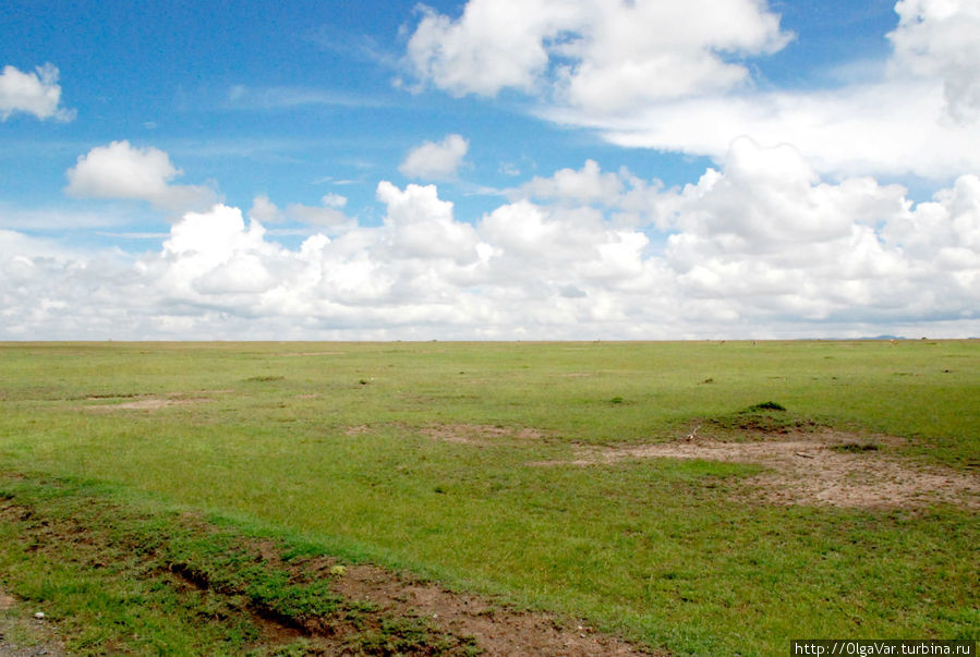Этот небольшой ров-полоса и есть экватор — пуп Земли Наньюки, Кения