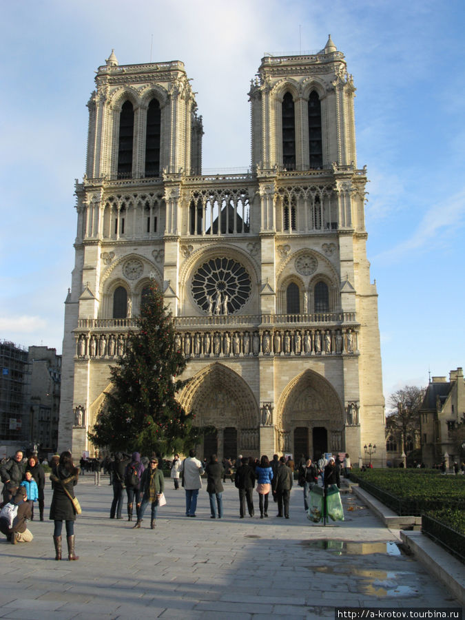 собор Нотр-Дам де Пари днём Париж, Франция
