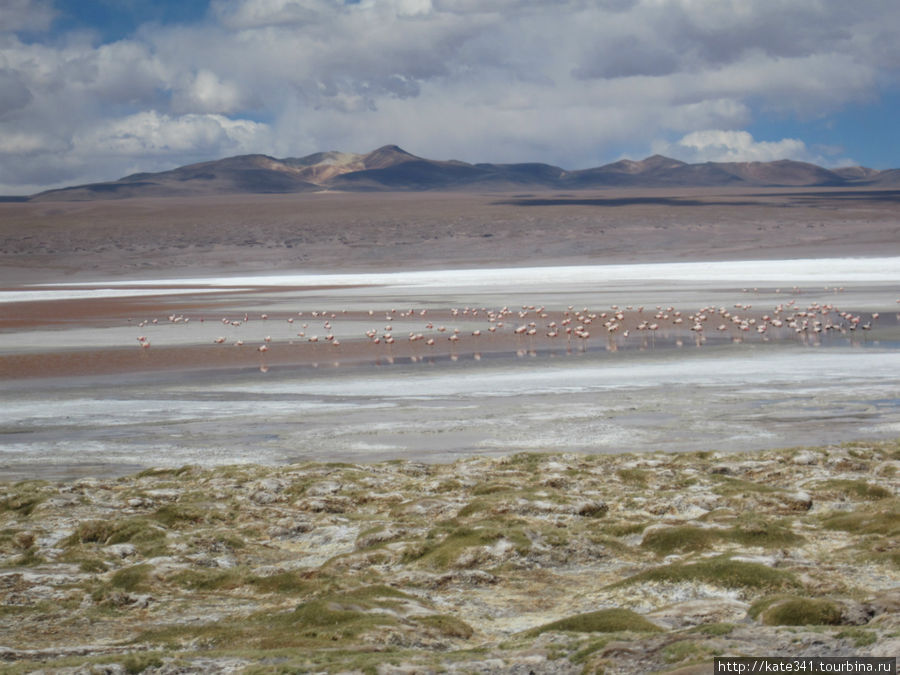 Цветные озера и лагуны Уюни Уюни, Боливия
