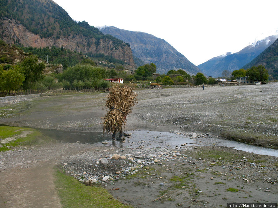 Трек вокруг Аннапурны:  серебряная река, золотые берега Калапани, Непал