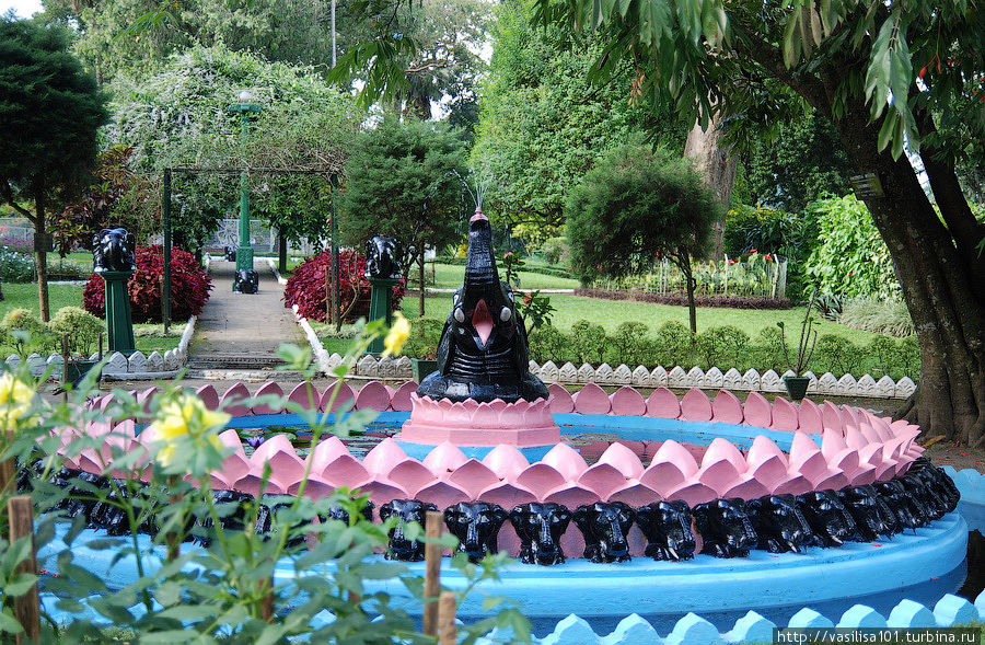 Вокруг озера Канди Канди, Шри-Ланка Вокруг озера Канди Канди, Шри-Ланка