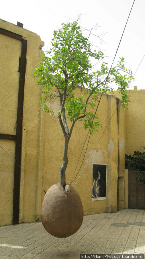 дерево без корней Тель-Авив, Израиль
