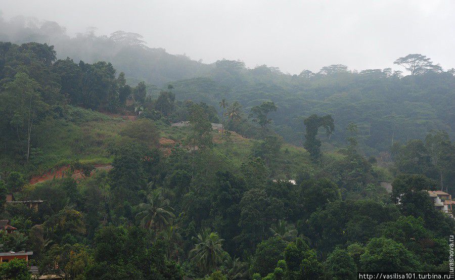 Вокруг озера Канди Канди, Шри-Ланка Вокруг озера Канди Канди, Шри-Ланка