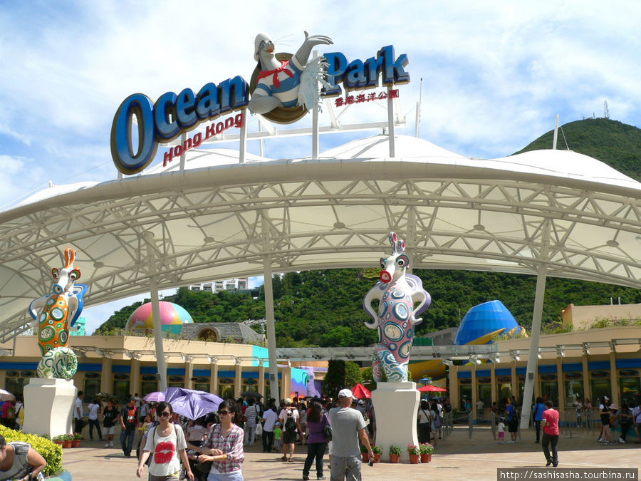 Парк развлечений и океанариум 