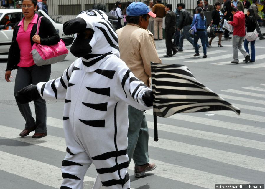 Переходите дороги при помощи зебры!