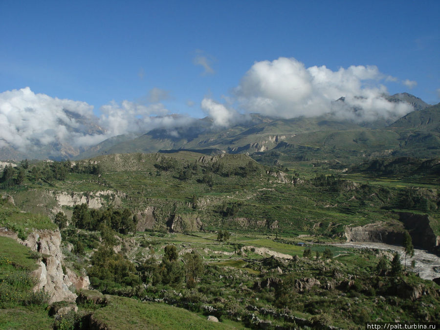 Каньон Колка — изумрудное чудо Перу Каньон Колка, Перу