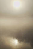 Торуньские туманы над Вислой. Почти ежедневное явление