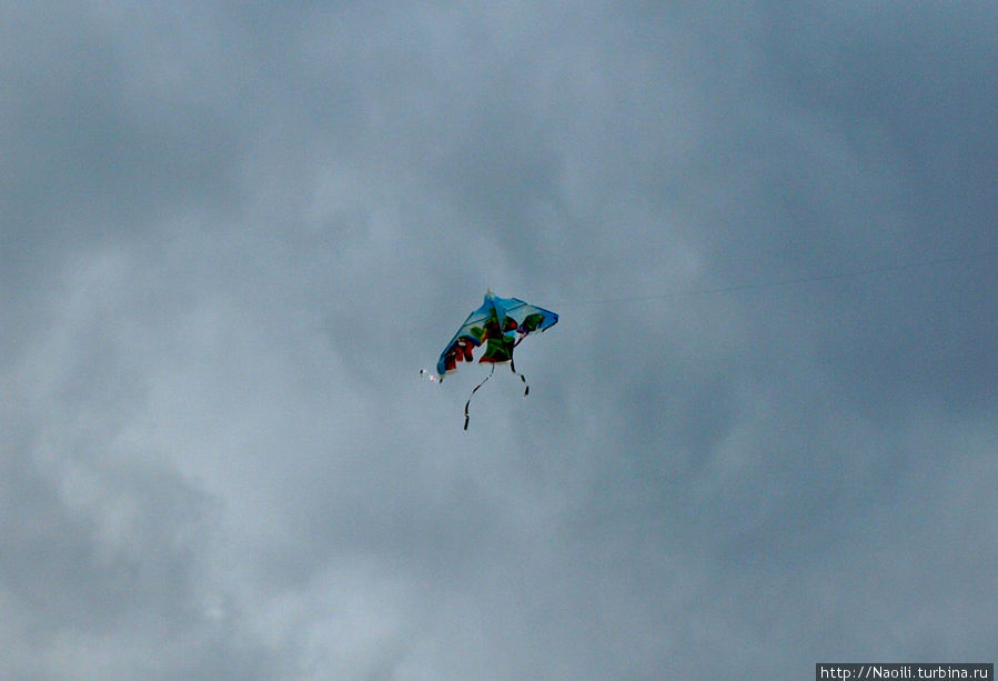 Демонстрации против PRI и РАN накануне выборов президента Мехико, Мексика Демонстрации против PRI и РАN накануне выборов президента Мехико, Мексика