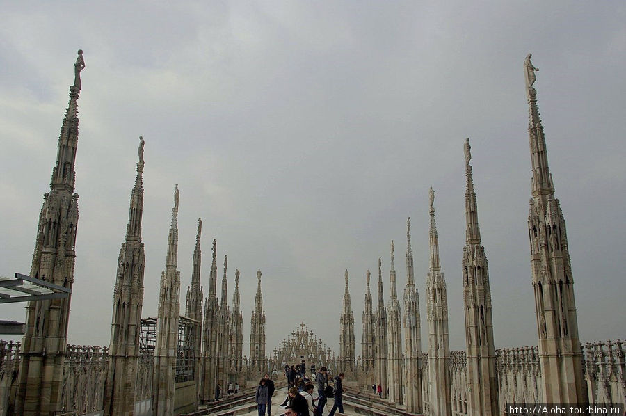 Все-таки не зря пишут, что башни Дуомо напоминают заросли люпина. Милан, Италия