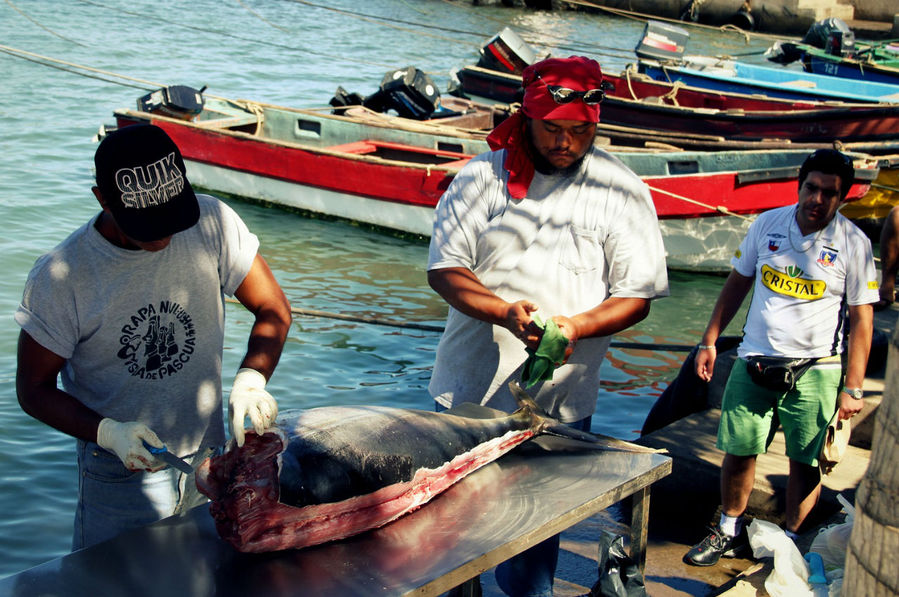 Рыбаки острова Пасхи