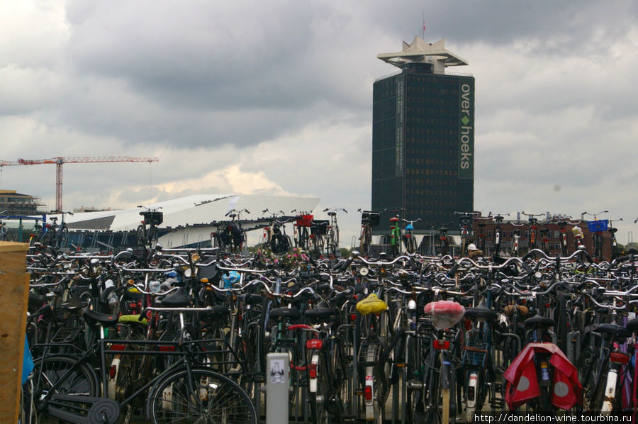 Амстердам: Доблестный, Решительный, Сочувствующий Амстердам, Нидерланды