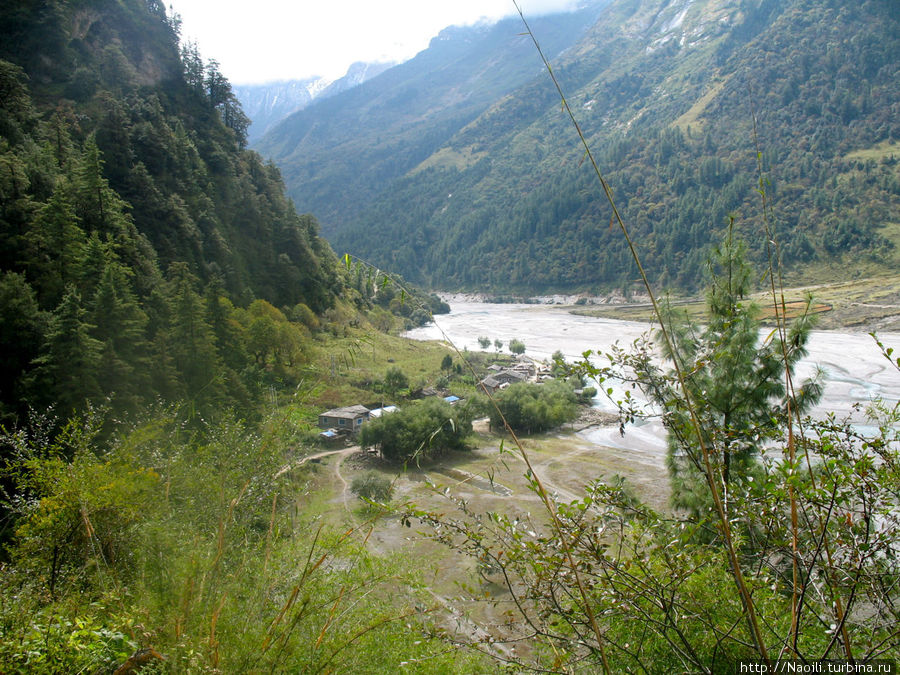Трек вокруг Аннапурны:  серебряная река, золотые берега Калапани, Непал