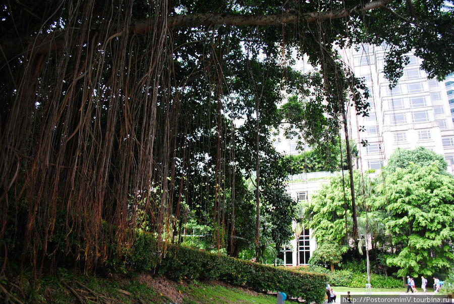Замечательный парк за Петронасами. Куала-Лумпур, Малайзия