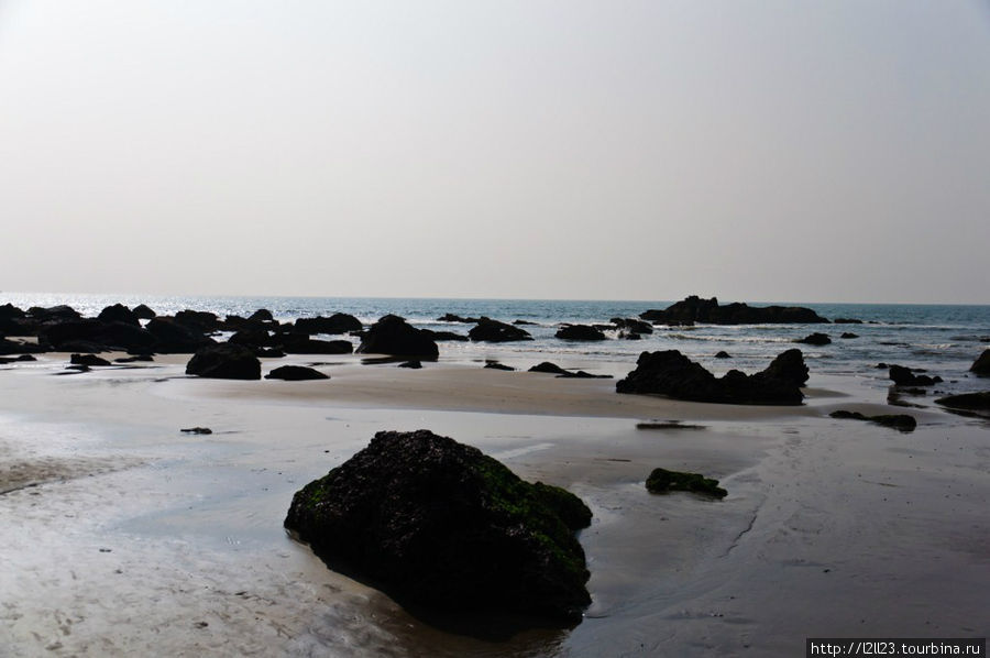 2 пляжа Северного Гоа. Штат Гоа, Индия