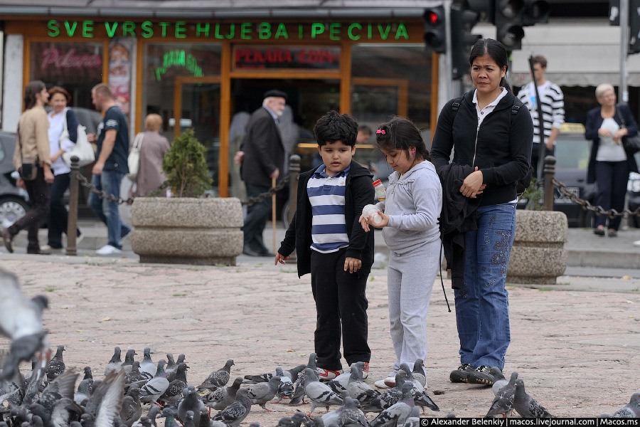 Азиатские туристы кормят голубей. Сараево, Босния и Герцеговина