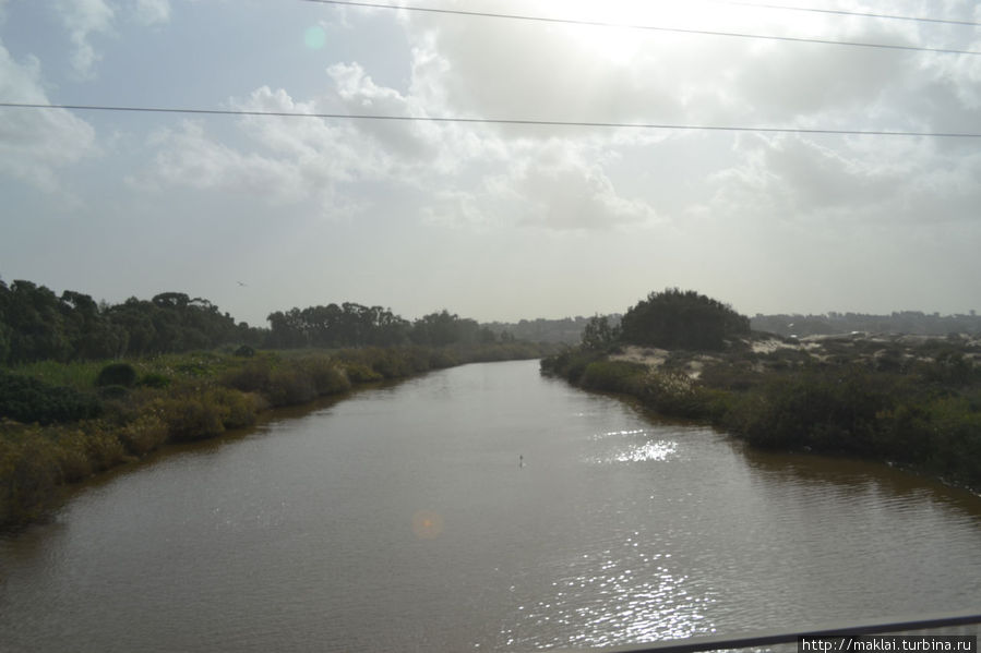Река Александр. Хайфа, Израиль