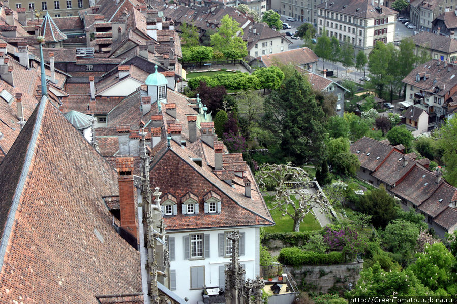 Смотровая Бернского собора Берн, Швейцария