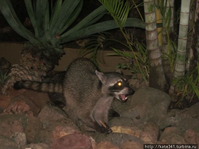 Как я провела 2011 год Как я провела 2011 год