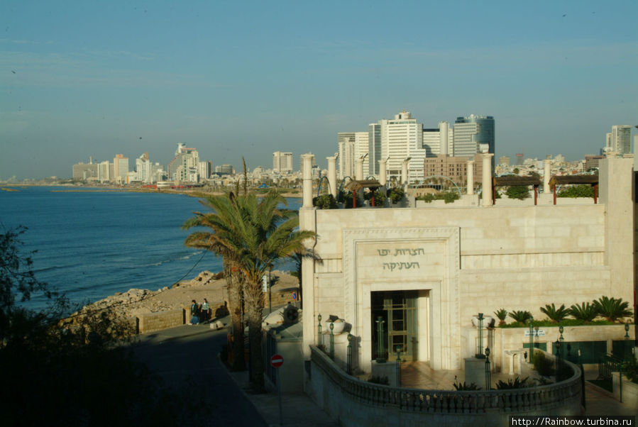 Первые впечатления Тель-Авивский округ, Израиль