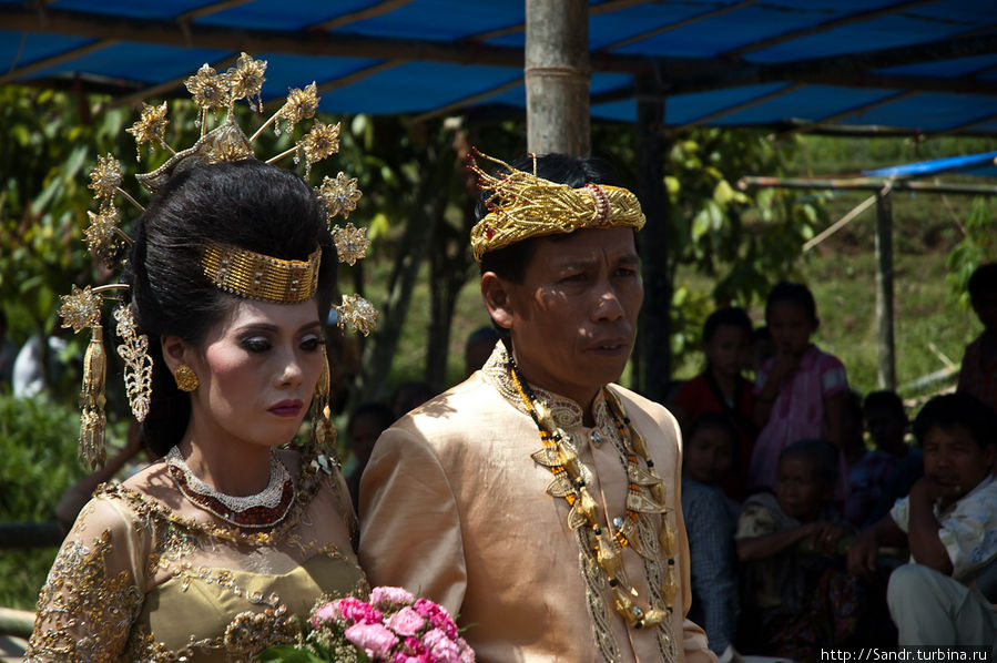 Свадьба и похороны тораджей Рантепао, Индонезия